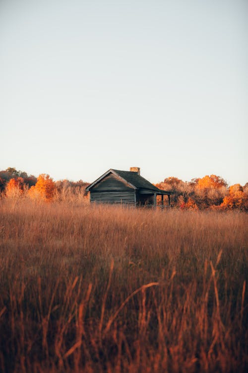 Free A Cabin in the Middle of a Field Stock Photo