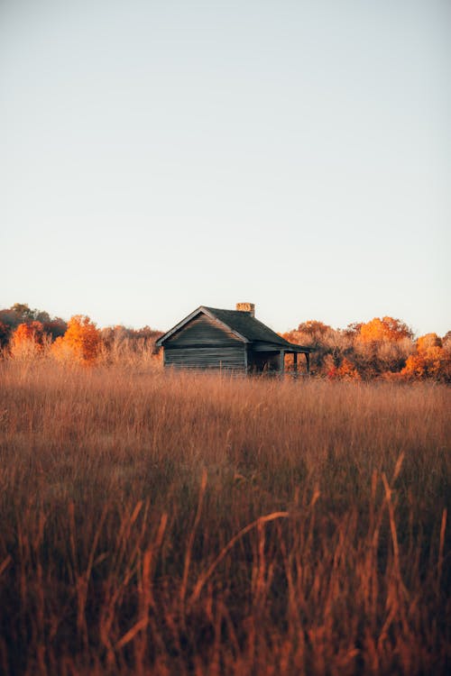 Immagine gratuita di cabina, campagna, campo