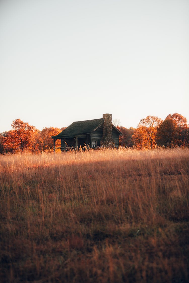 A House On A Brown Grass Field