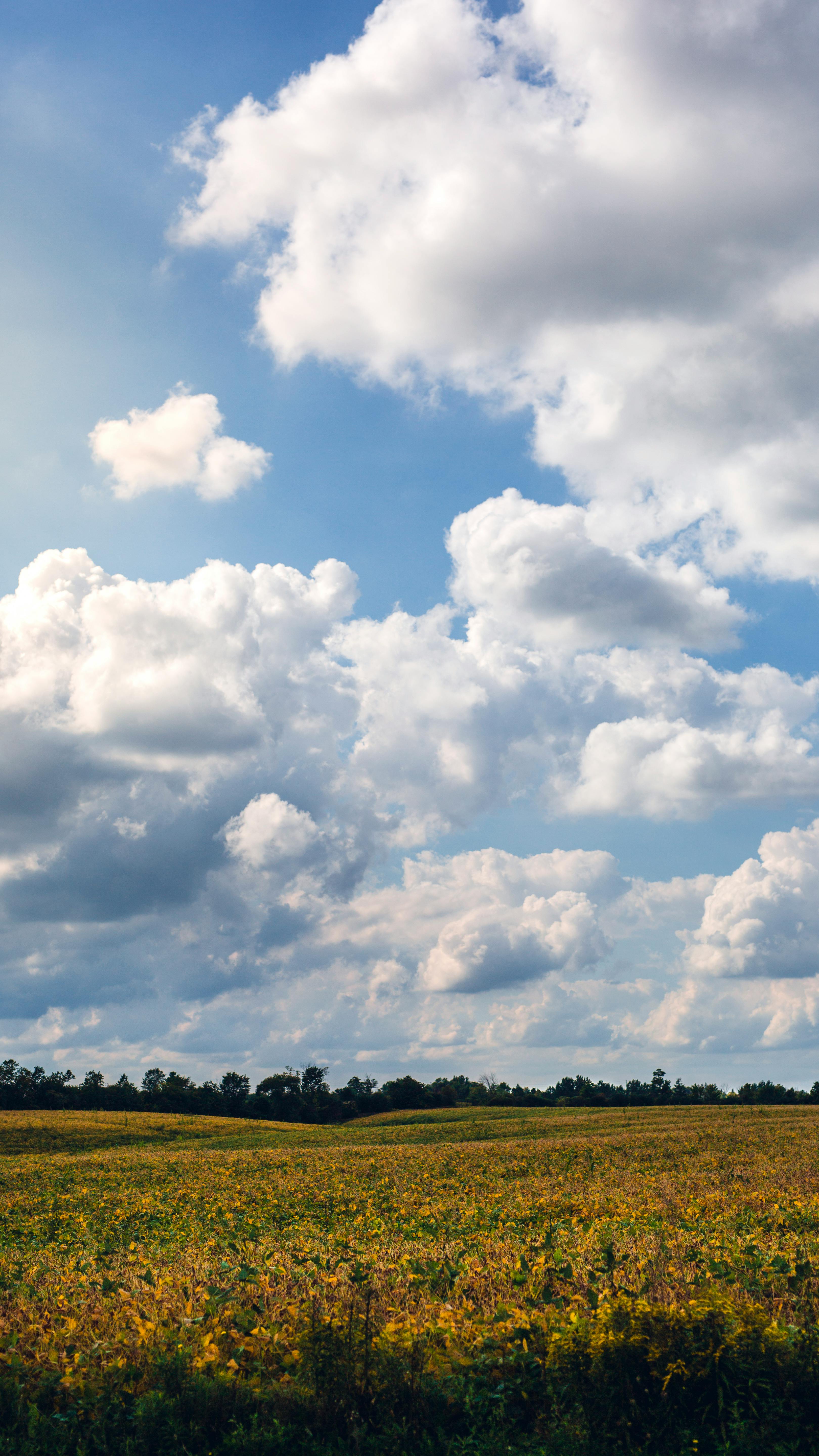 Free stock photo of clouds, farm, phone wallpaper