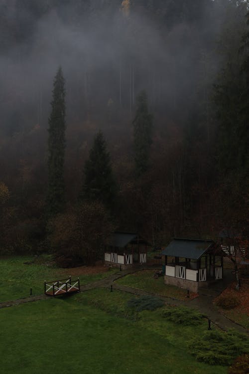 Rural Area and Forest on a Foggy Day 