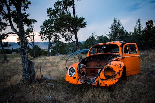 Zardzewiały Pomarańczowy Volkswagen Beetle