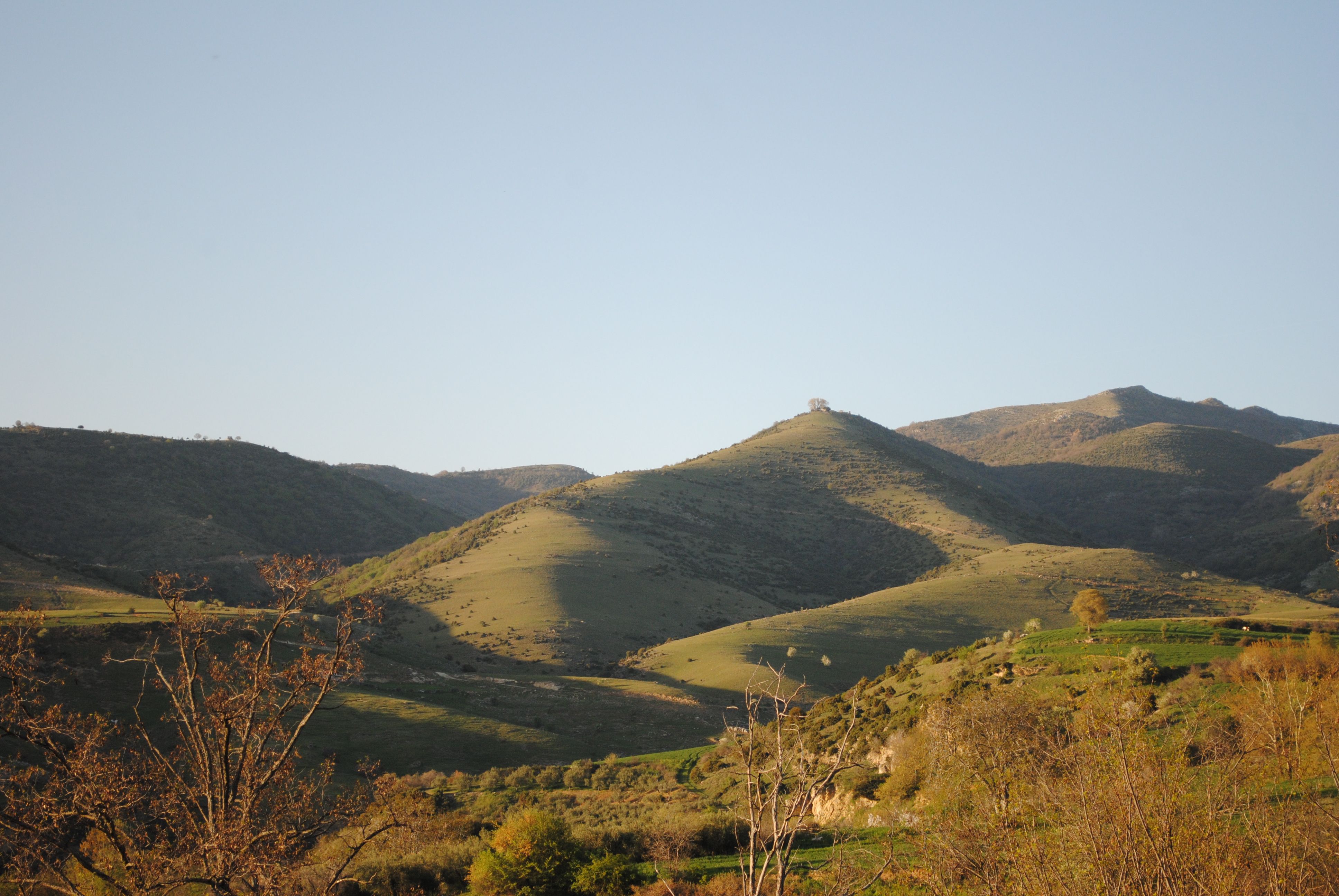 Rolling hills with natural vegetation patterns