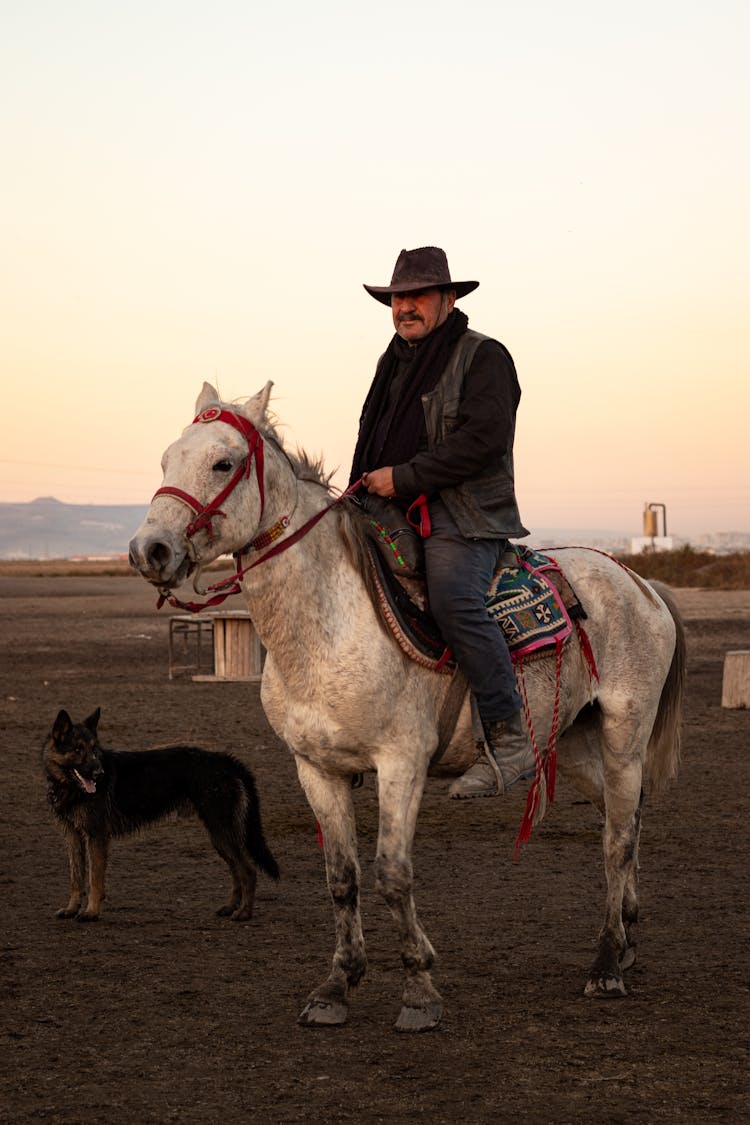 South American Cowboy On Horse With Dog