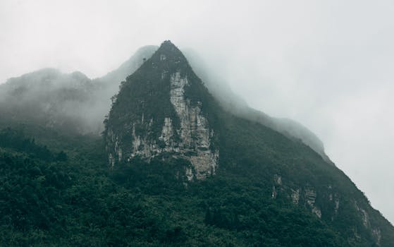 Dramatic view of a foggy mountain peak covered in lush green forest.