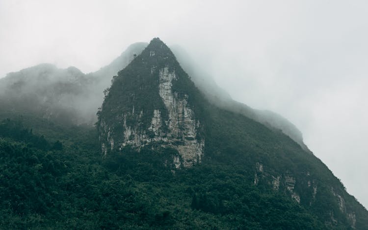 Photo Of A Mountain Cliff Covered With Trees