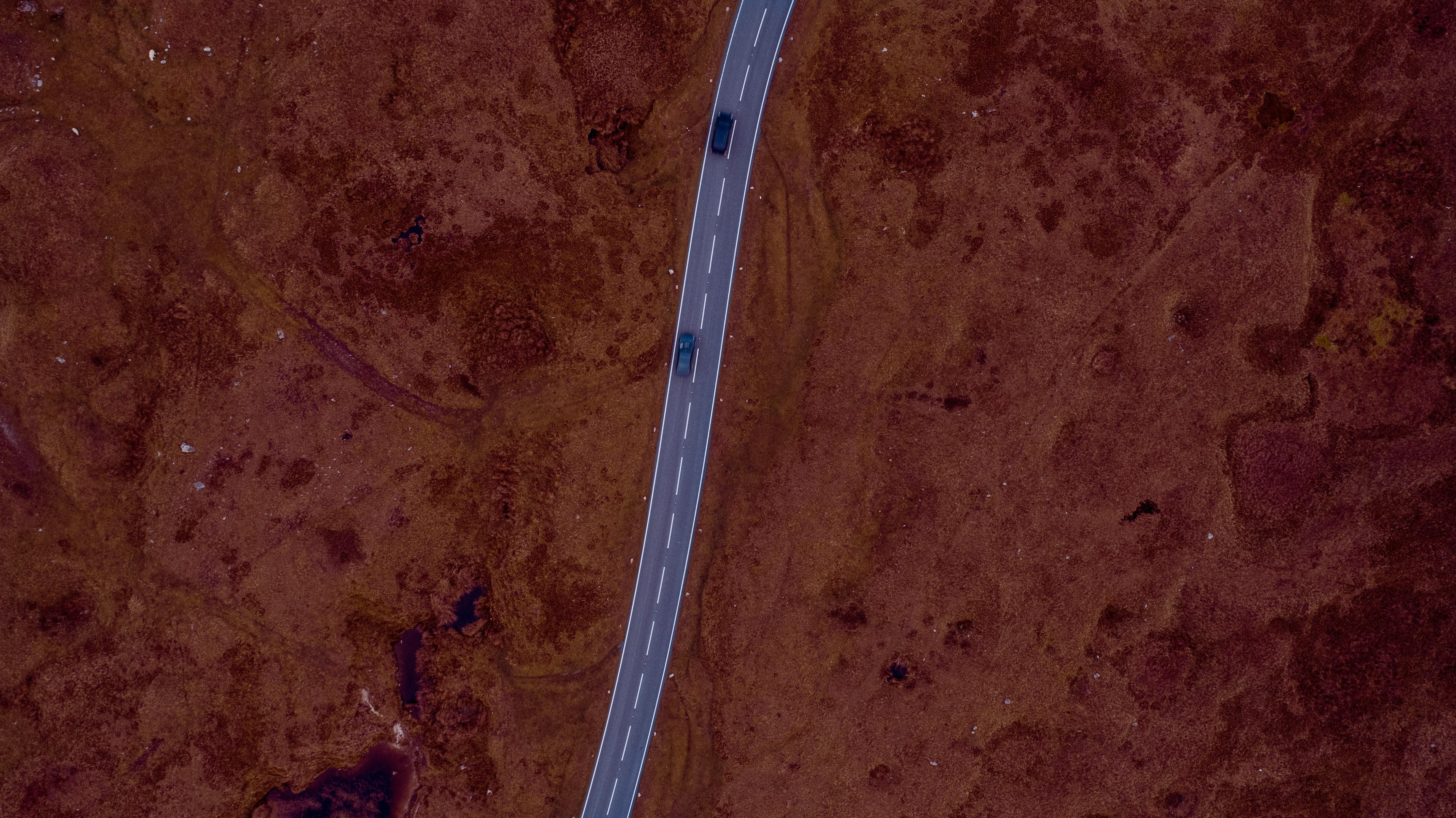 Cruising through · Free Stock Photo