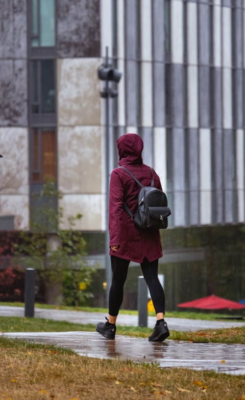 Foto profissional grátis de andando, caminho a pé, chovendo