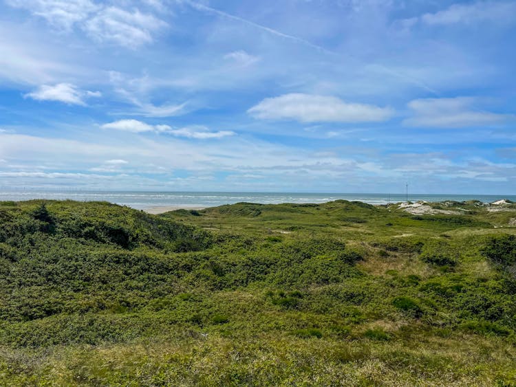 Green Land At Sea Beach