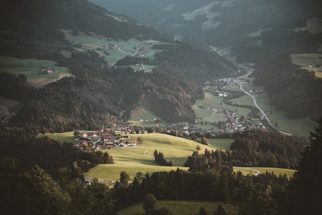 Free Bird's Eye View of Forest and Mountain Stock Photo