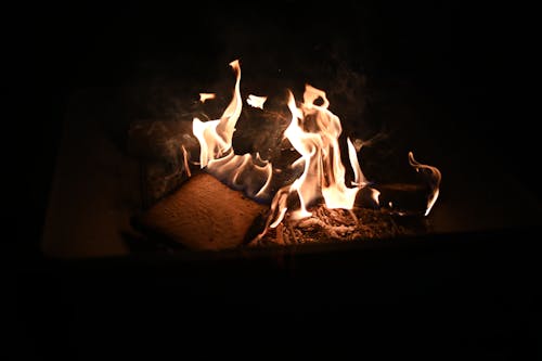 火, 燃える木の無料の写真素材