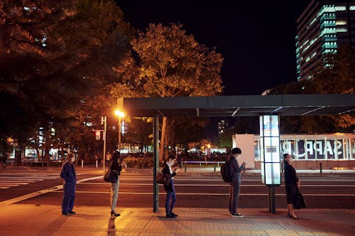도시 생활, 밤에, 버스 정류장의 무료 스톡 사진