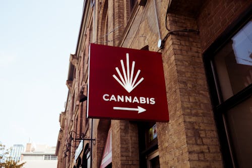 Red Sign of Cannabis Store