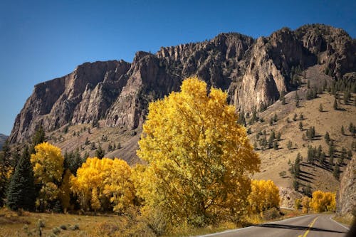 fall landscape