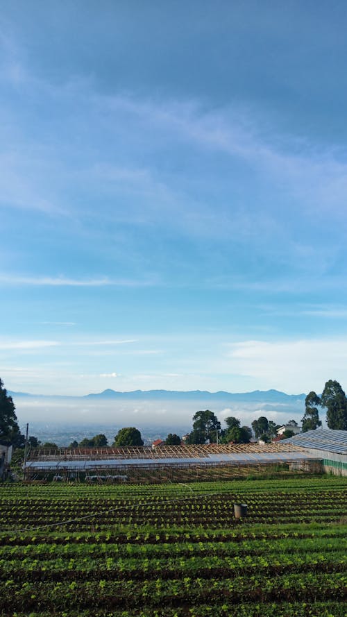Free Village garden with a city view Stock Photo