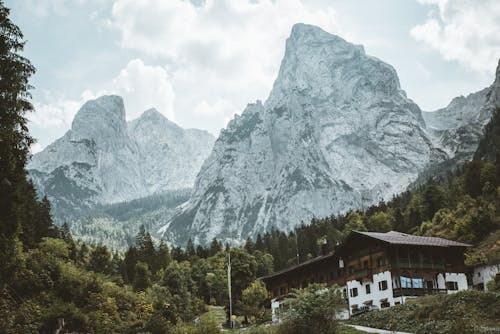 산 근처의 집