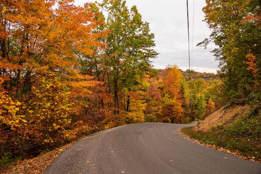 Winding road through vibrant autumn foliage in Pigeon Forge, Tennessee.