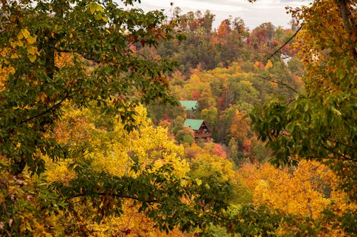 Cozy Cabins in Tennessee Perfect for a Fall Getaway