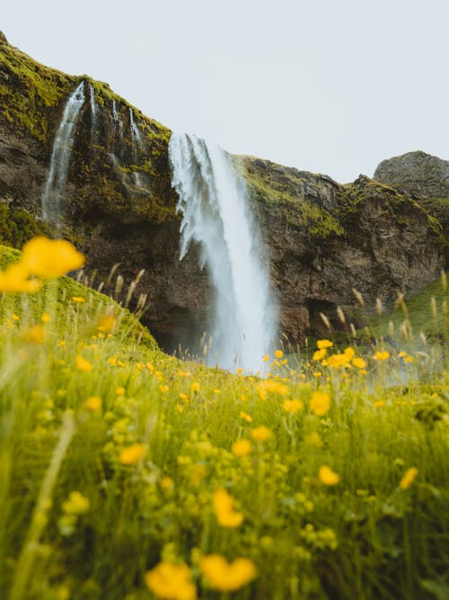 Бесплатное стоковое фото с вертикальный выстрел, вода, водопад