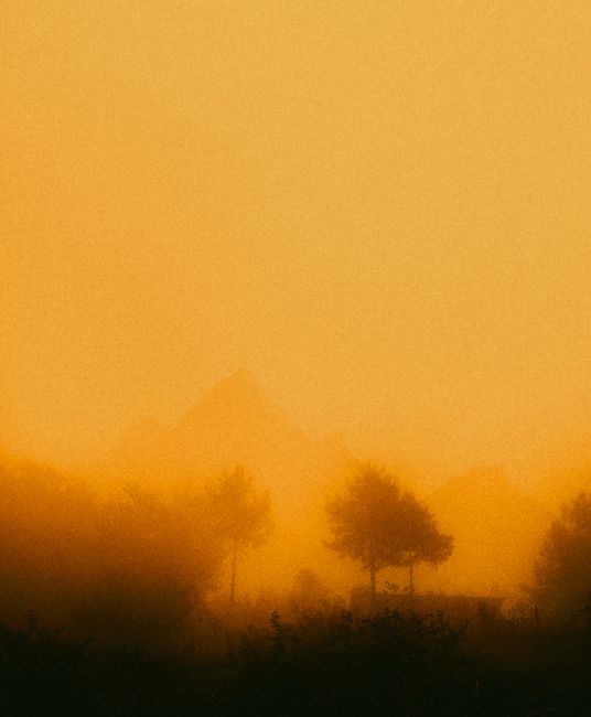 Abstract view of misty trees and mountains in a warm color palette, creating a serene scene.