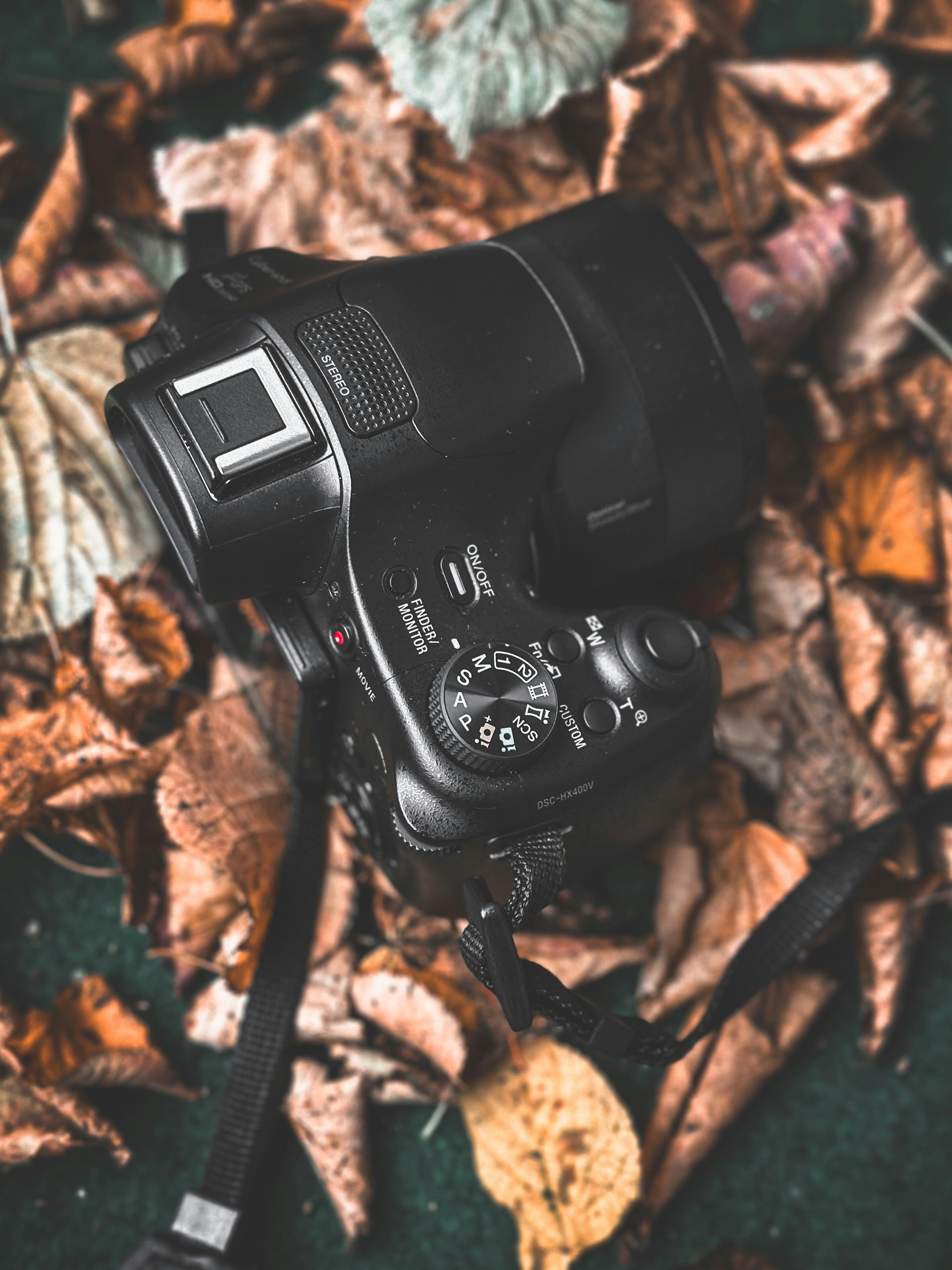 Free Close-up of a DSLR camera placed on colorful autumn leaves, creating a warm, seasonal atmosphere. Stock Photo