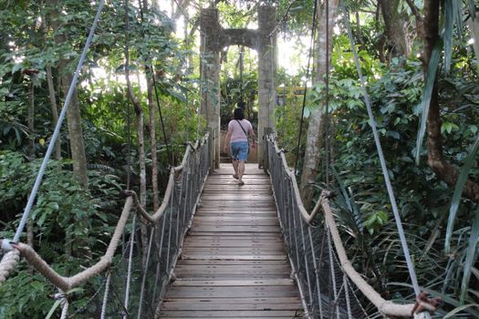 A woman walks across a wooden suspension bridge surrounded by dense greenery.