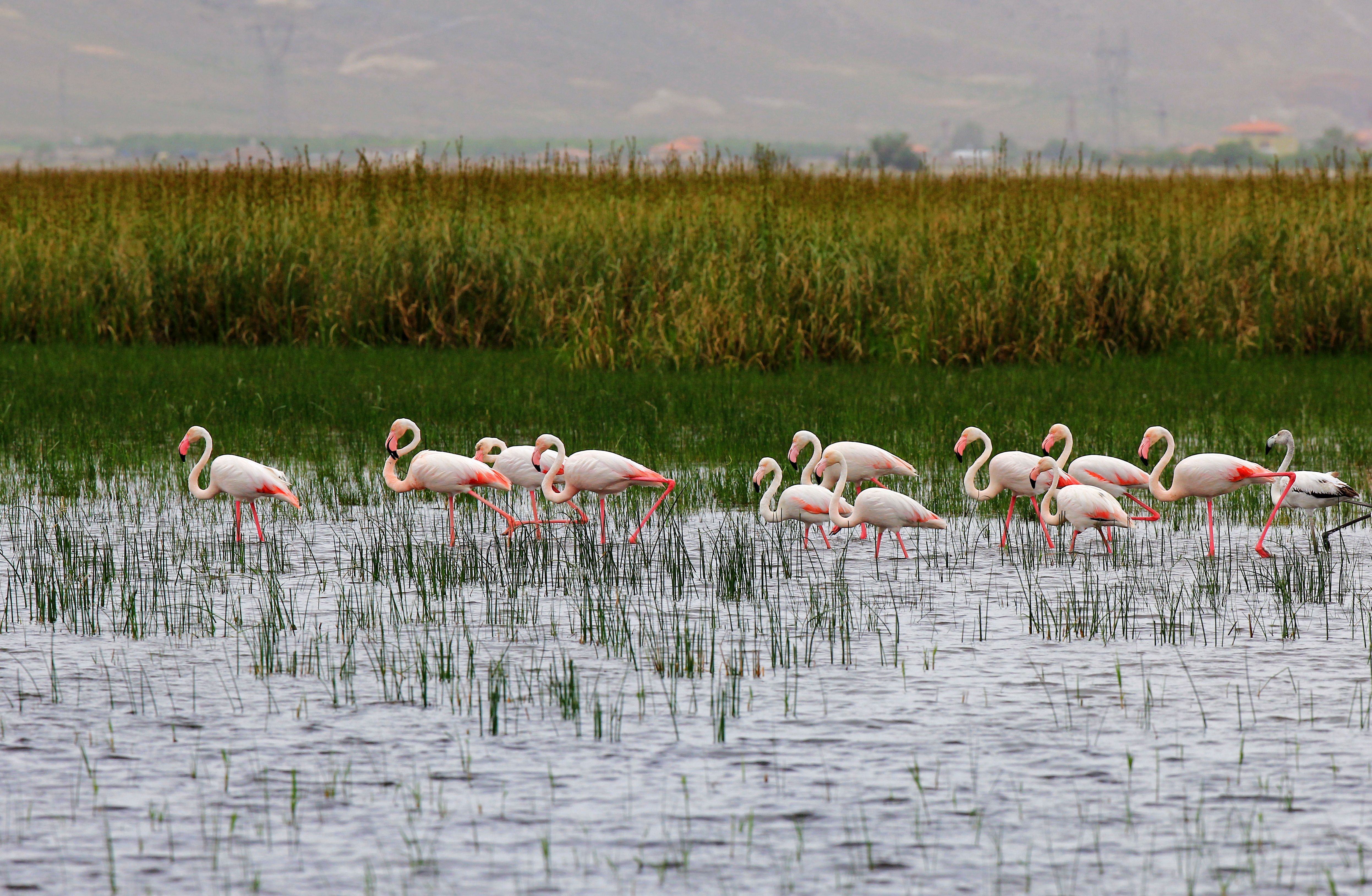 Ramsar