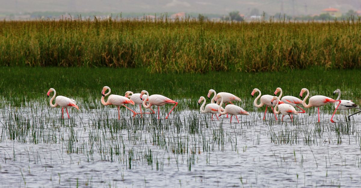 Ramsar