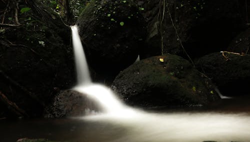 Fotos de stock gratuitas de cascada, fondo cascada, por encima del agua