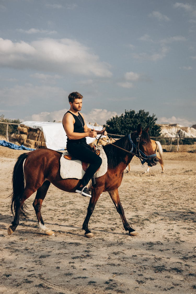 A Man In A Tank Top Riding A Brown Horse