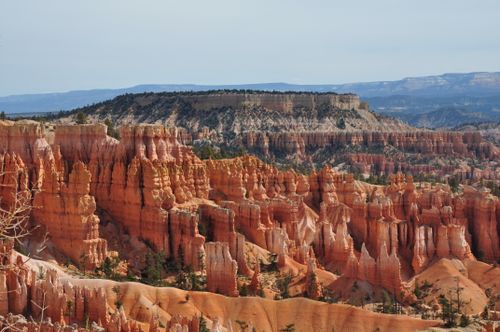 Free Explore the breathtaking hoodoos of Bryce Canyon National Park, Utah. Stock Photo