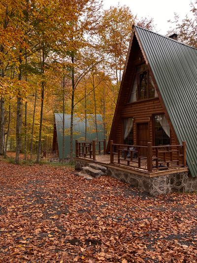 Cabin in woodland by Hilal Serin on Pexels
