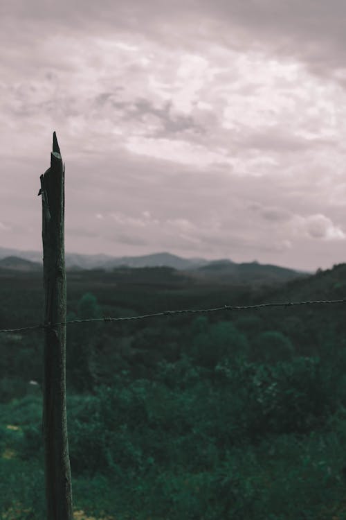 壁紙, 心情, 景觀 的 免費圖庫相片