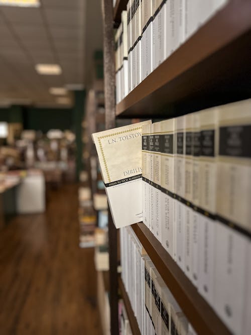 Collection of Books on Wooden Shelves