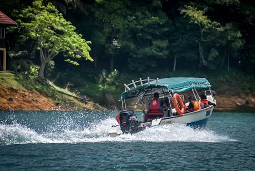 Fotos de stock gratuitas de arboles, barca, barco recreativo