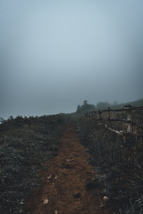 Pathway on a Foggy Hill 