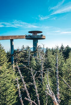 Skyline view of Clingmans Dome tower among trees in Great Smoky Mountains National Park.