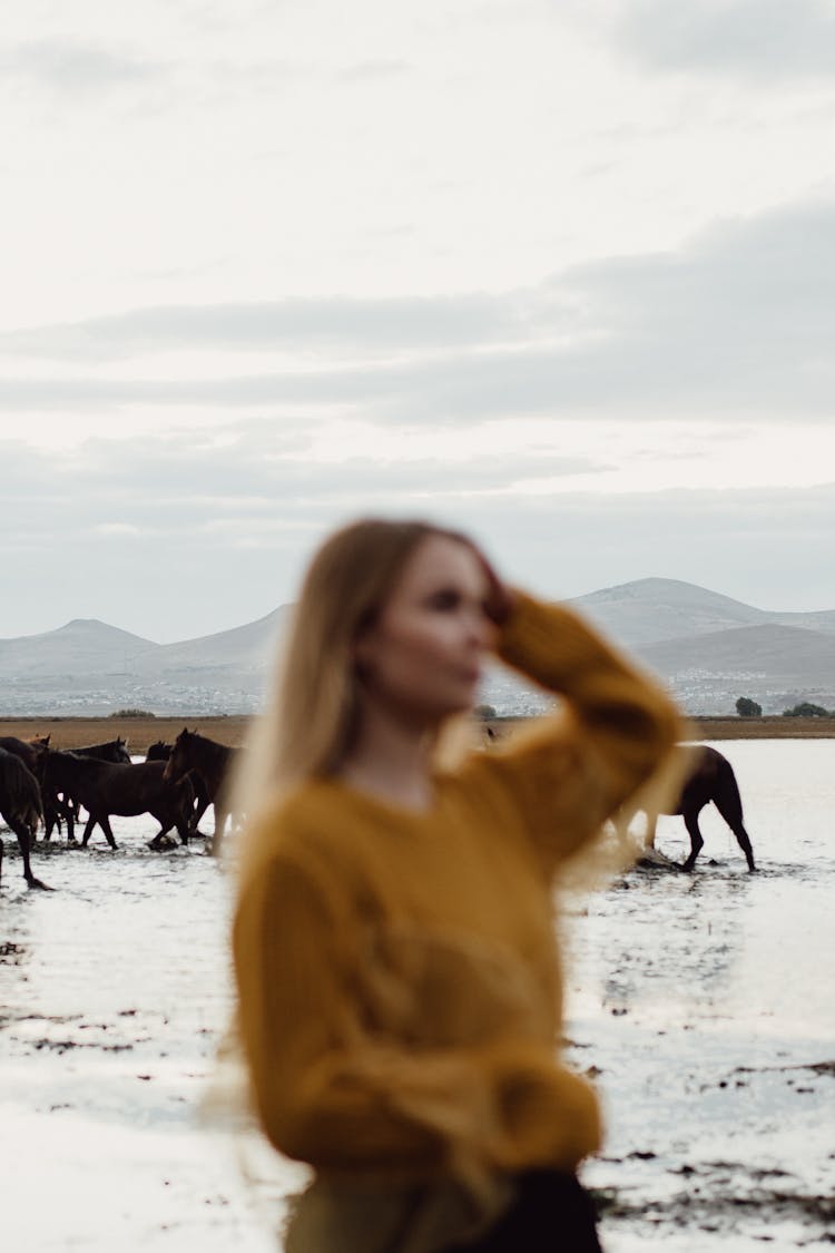 Blonde Woman And Horses Wading In Shallow Water