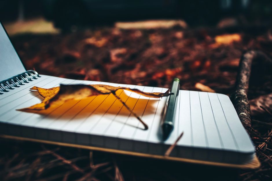 journaling natural light lifestyle photo 2