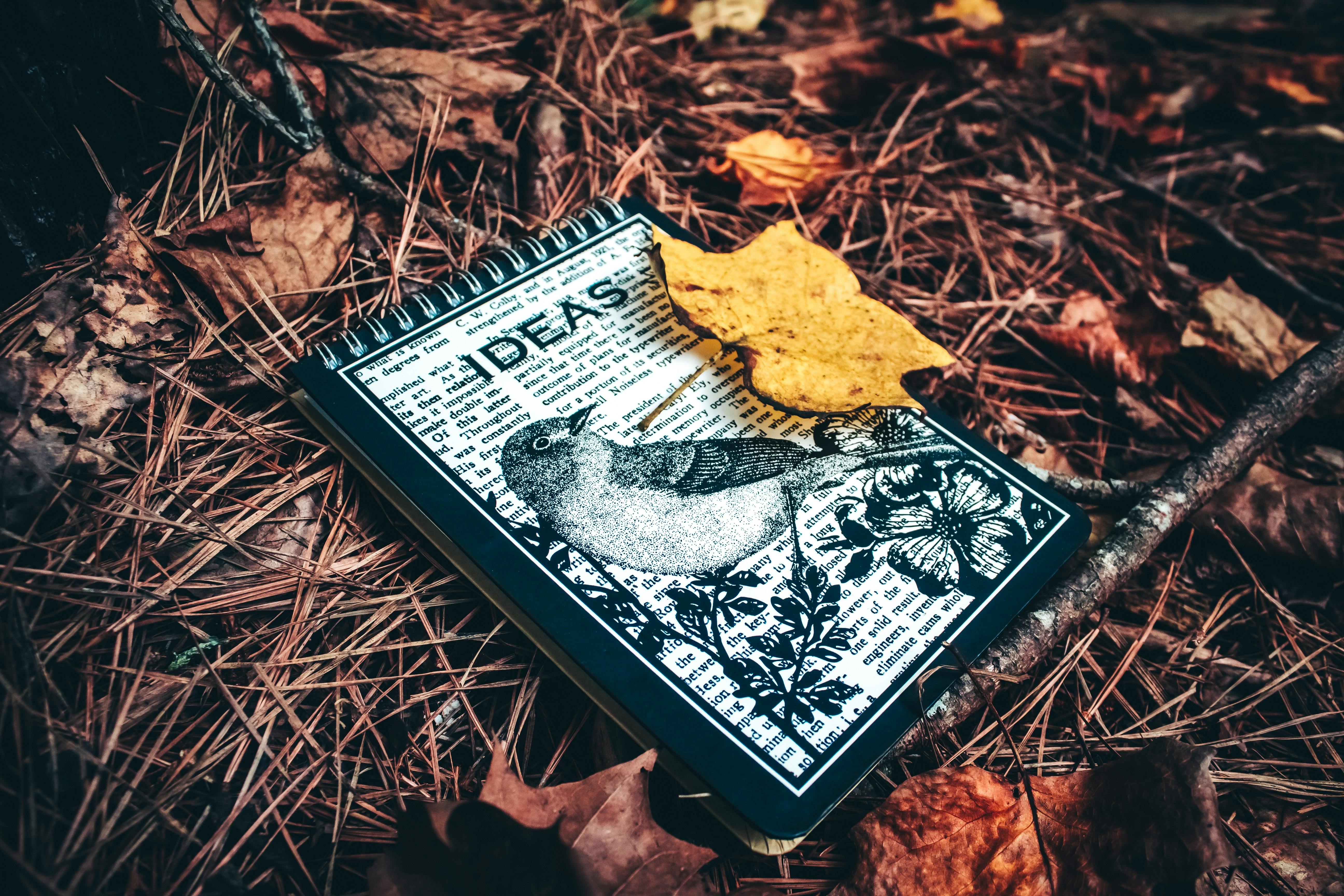 22 Side Hustle Ideas To Make Extra Money Today — Photo by Connor Scott McManus on Pexels