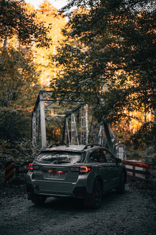 Car near Bridge in Forest