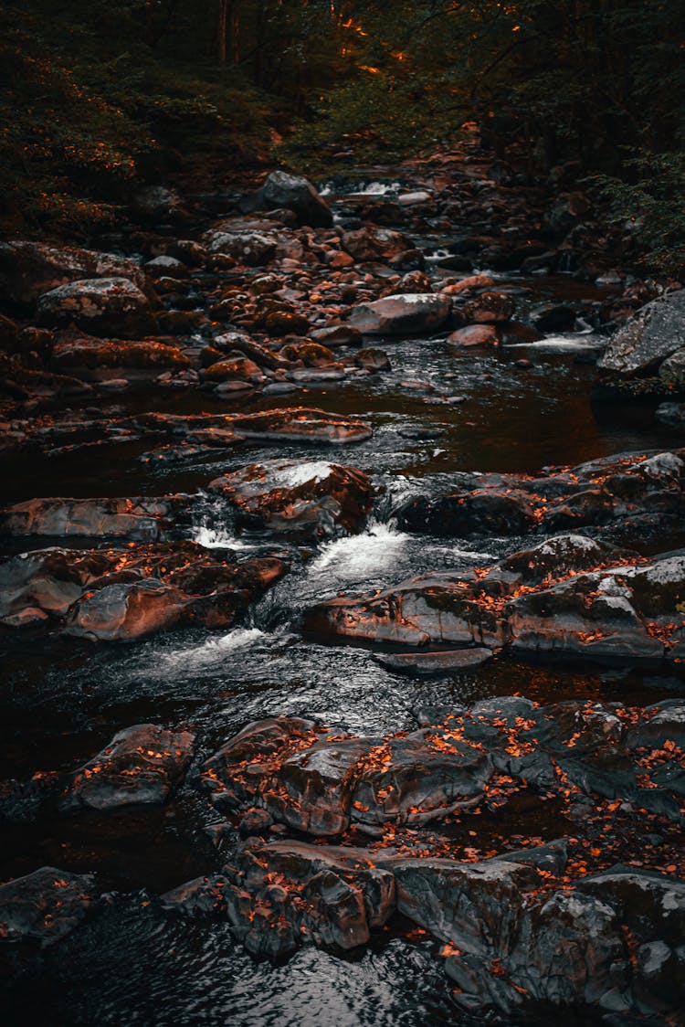 Rocky Stream In Mountains