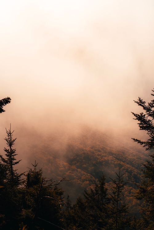 Free Scenic view of a mountain enveloped in dense fog, creating a mystical atmosphere. Stock Photo