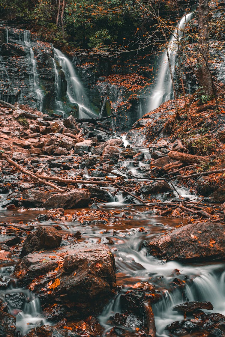 Creek In Woods In Autumn