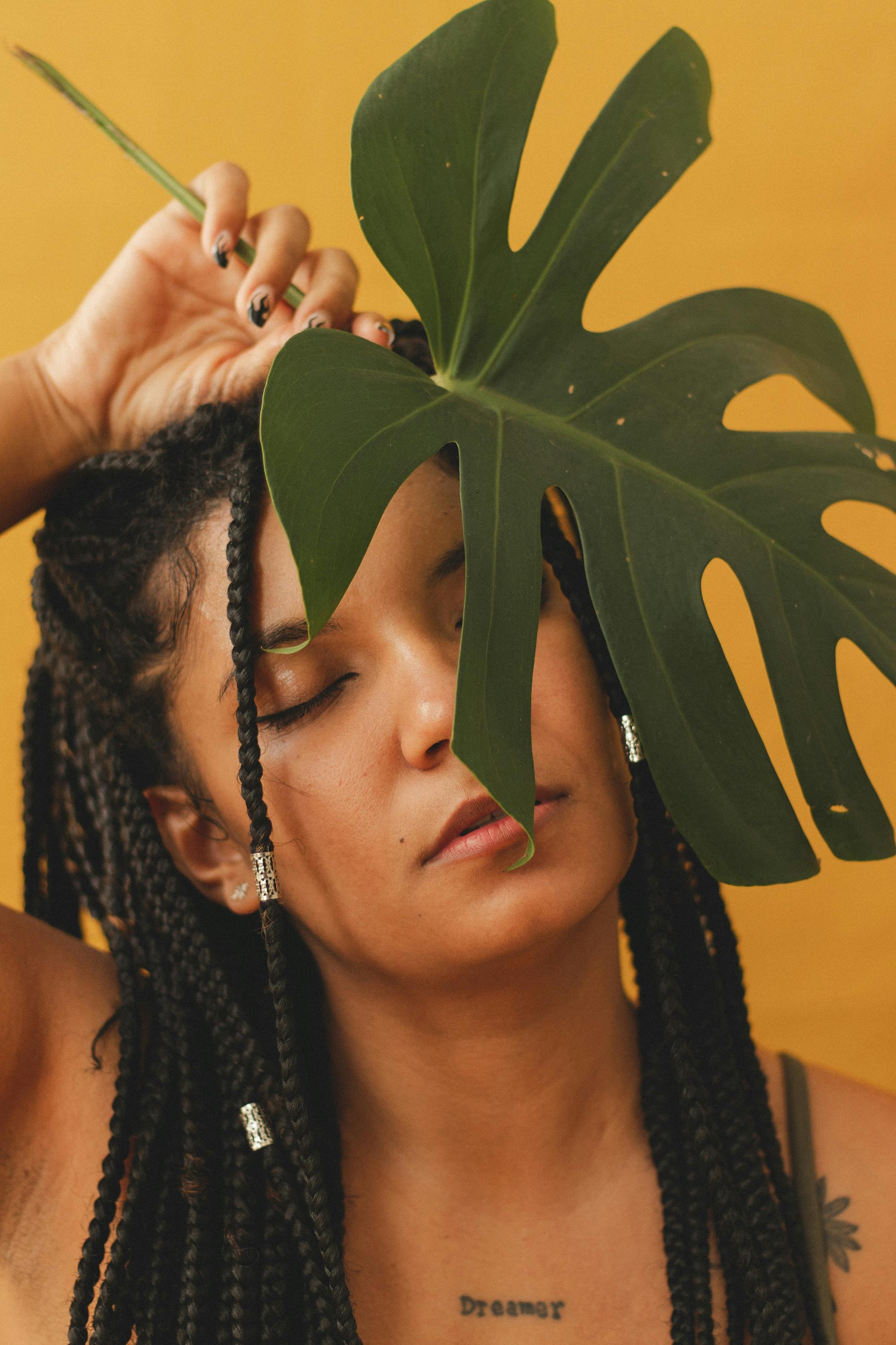 Leaf Sinhala Photos, Download Free Leaf Sinhala Stock Photos & HD Images