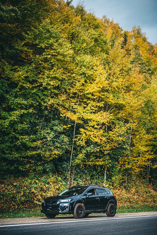 Black Subaru XV on the Street on the Background of Autumnal Yellow Trees 