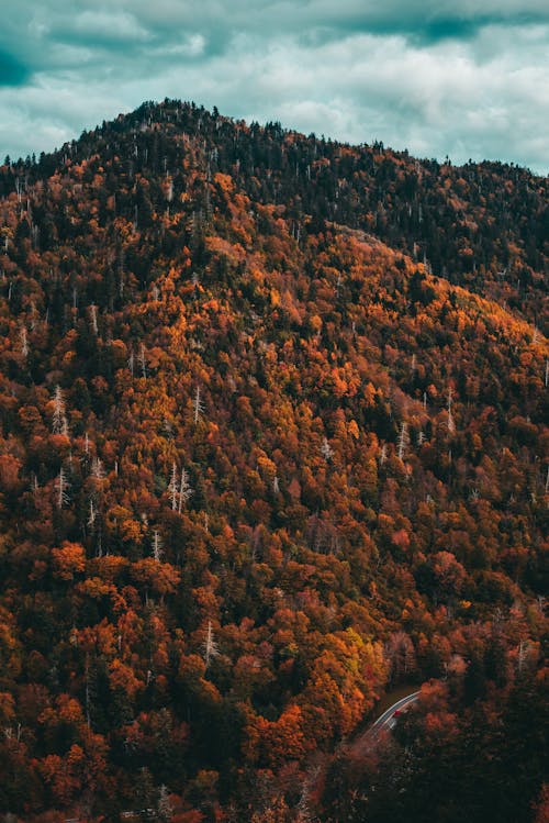 Aerial Photography of Mountains under the Cloudy Sky