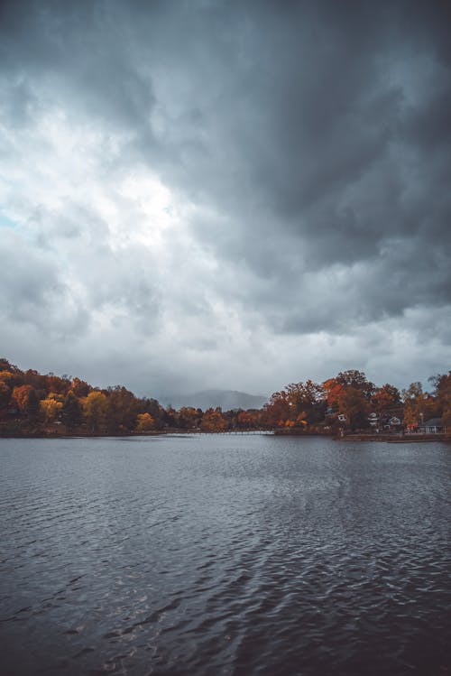 Gray Sky over Trees and a Lake