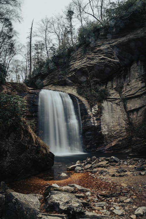 Immagine gratuita di acqua corrente, alberi, cascata