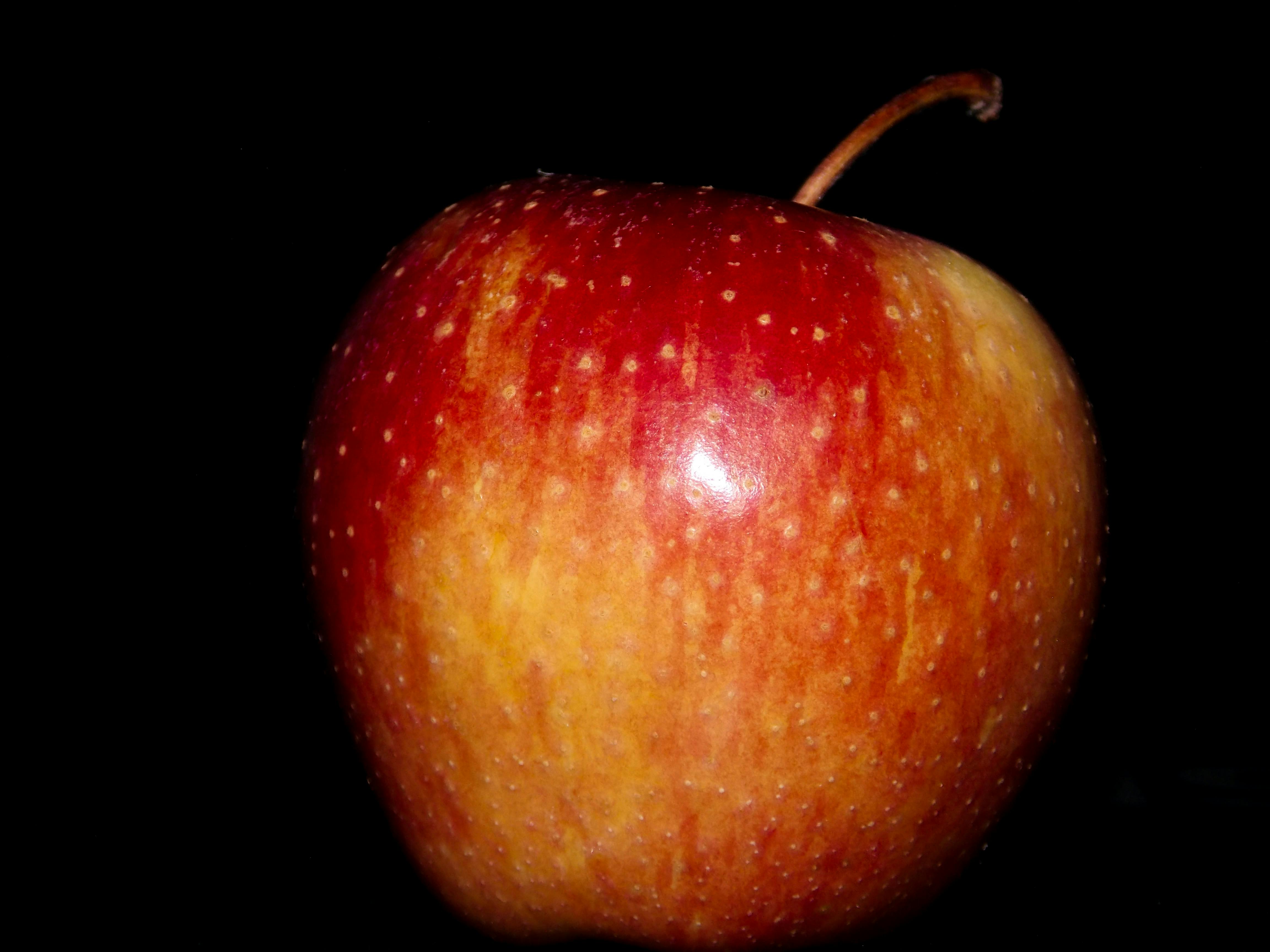 Free stock photo of apple, big apple, fruits